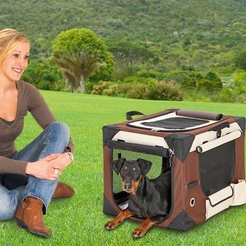 Smart Top Deluxe Hundebox Transportbox Bild 6