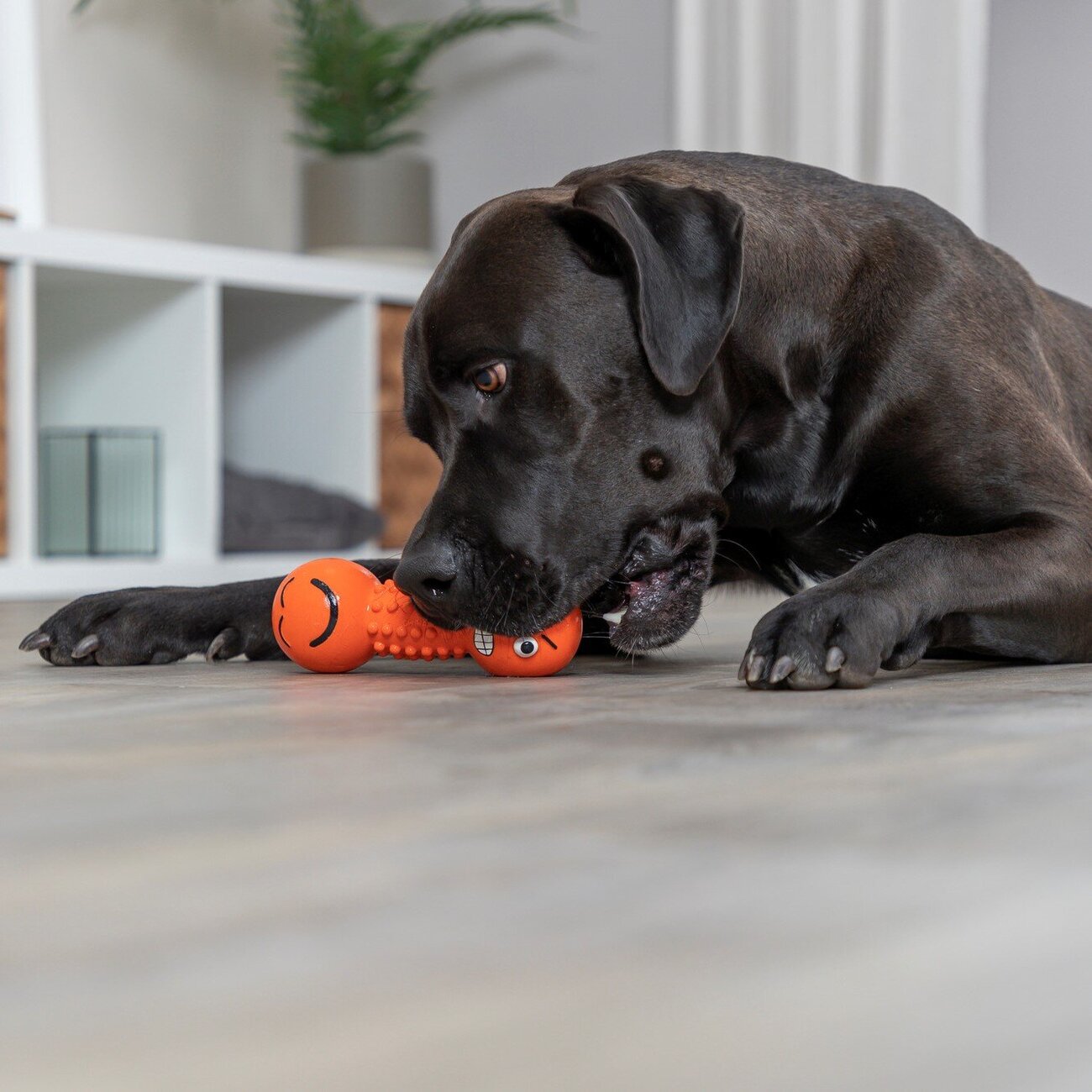 Smiley Hantel Hundespielzeug aus Latex Bild 6