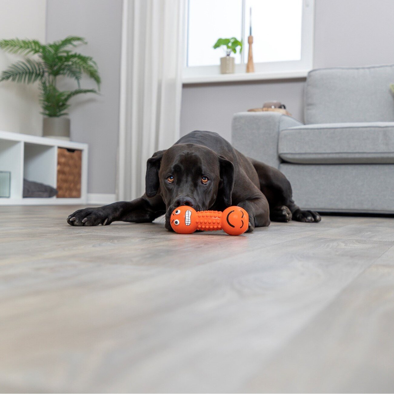 Smiley Hantel Hundespielzeug aus Latex Bild 4