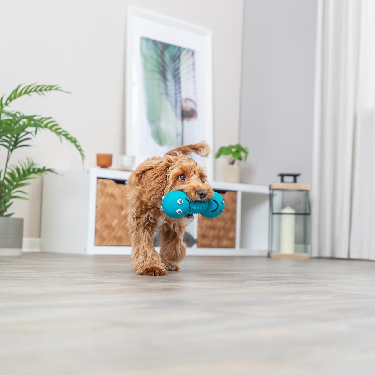 Smiley Hantel Hundespielzeug aus Latex Bild 2