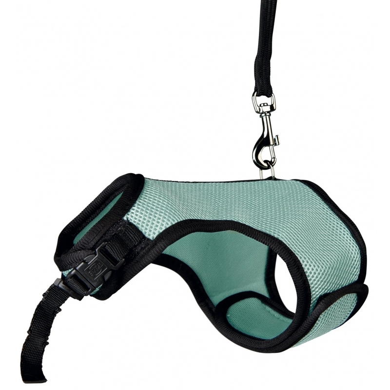 Softgeschirr mit Leine Zwergkaninchen Bild 3