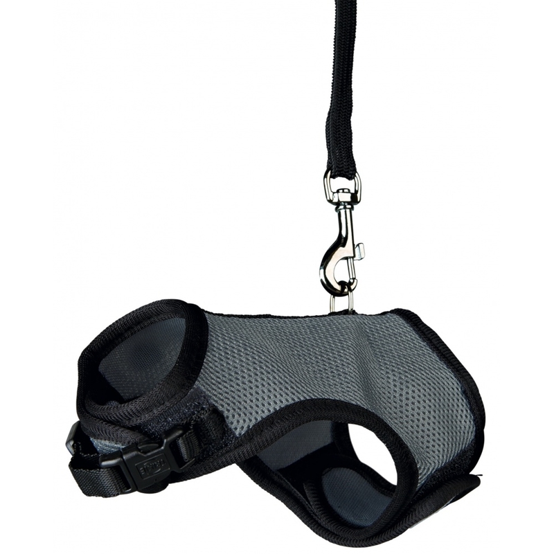 Softgeschirr mit Leine für Meerschweinchen Bild 3