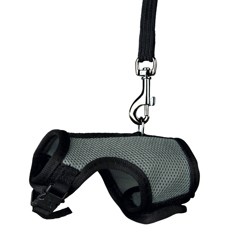 Softgeschirr mit Leine für Ratten Bild 5