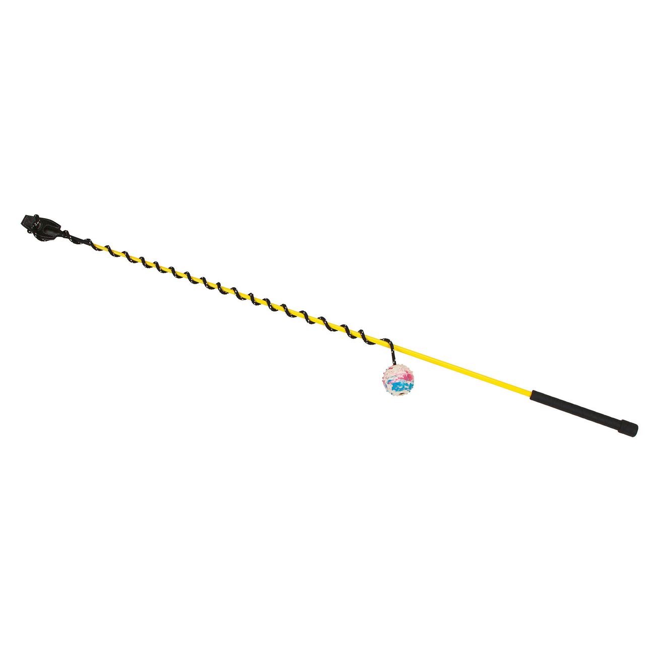 Spielangel Reizangel für Hunde Bild 3