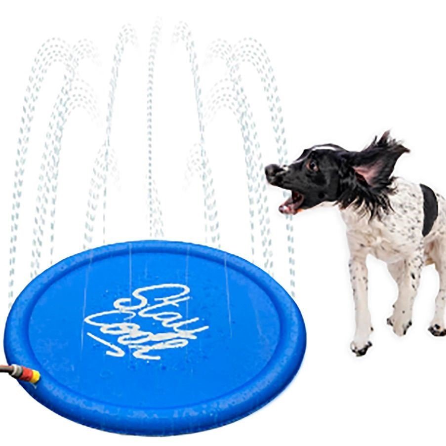 Splashy Matte Bild 3