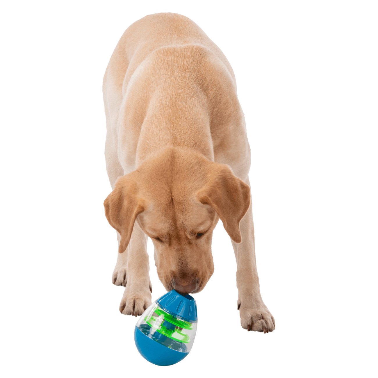 Steh-Auf-Snack-Ei, Hundespielzeug Bild 10