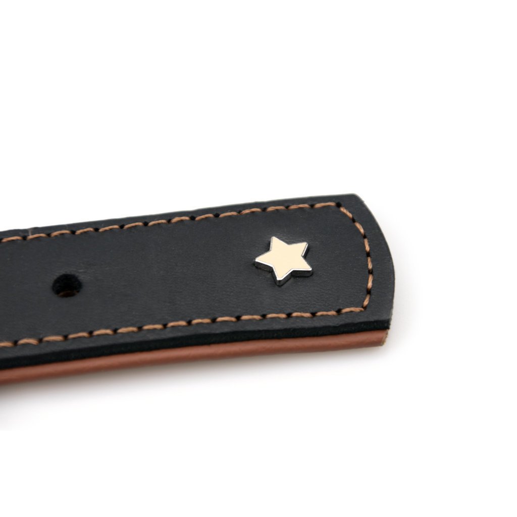 Sternfalbe Lederhalsband für Hunde Bild 6