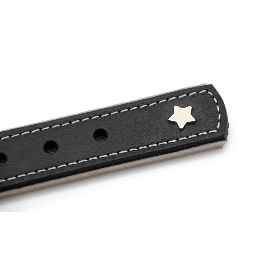 Sternfalbe Lederhalsband für Hunde Bild 15