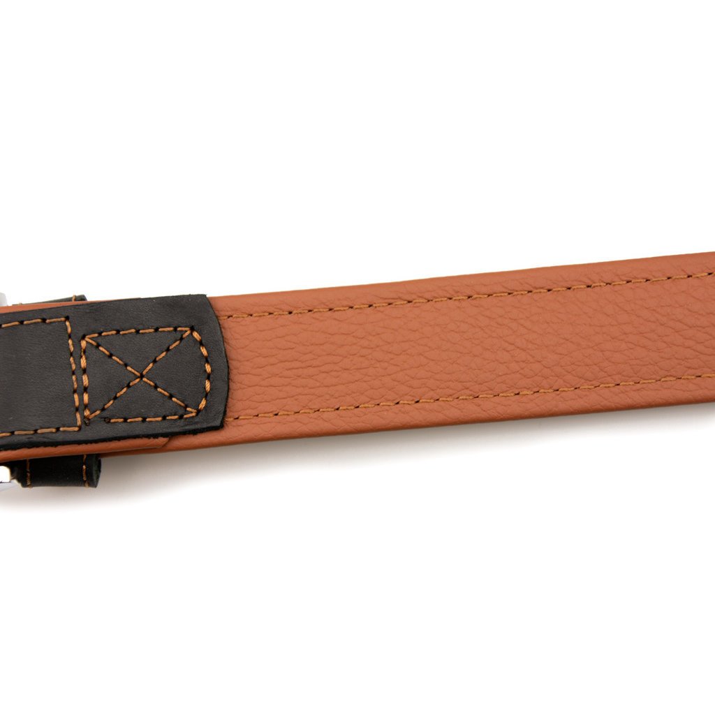 Sternfalbe Lederhalsband für Hunde Bild 9