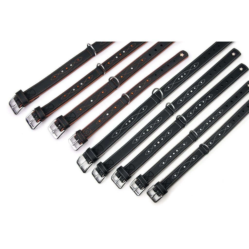 Sternfalbe Lederhalsband für Hunde Bild 1