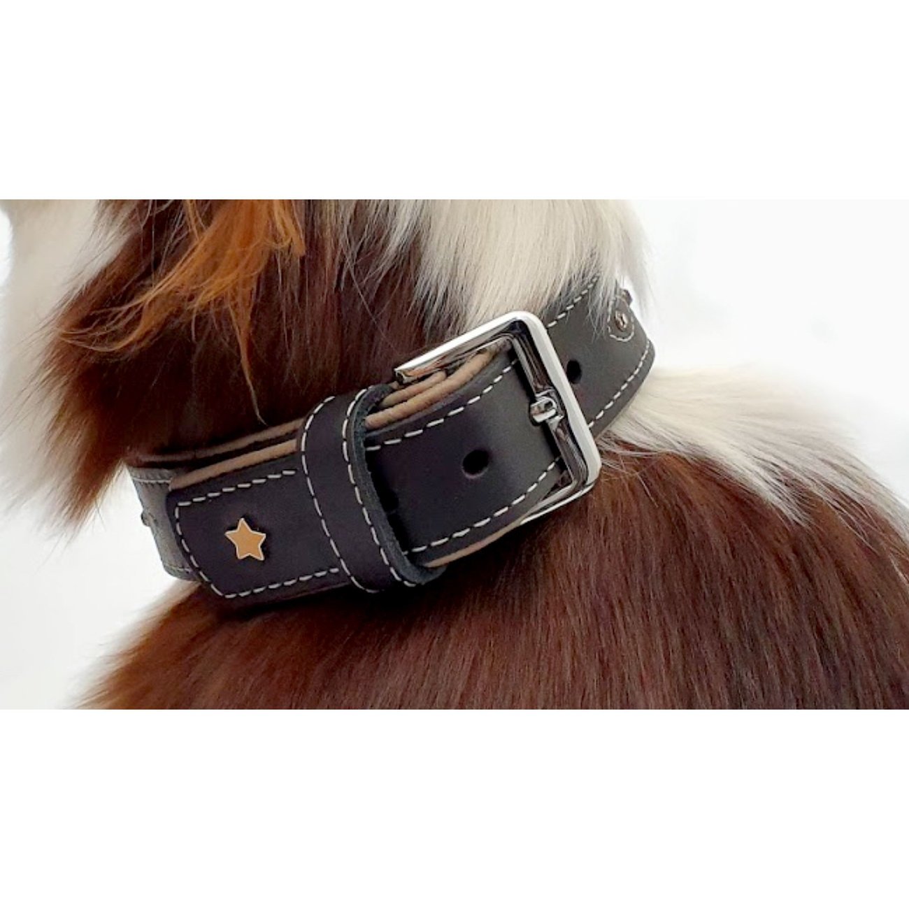 Sternfalbe Lederhalsband für Hunde Bild 10