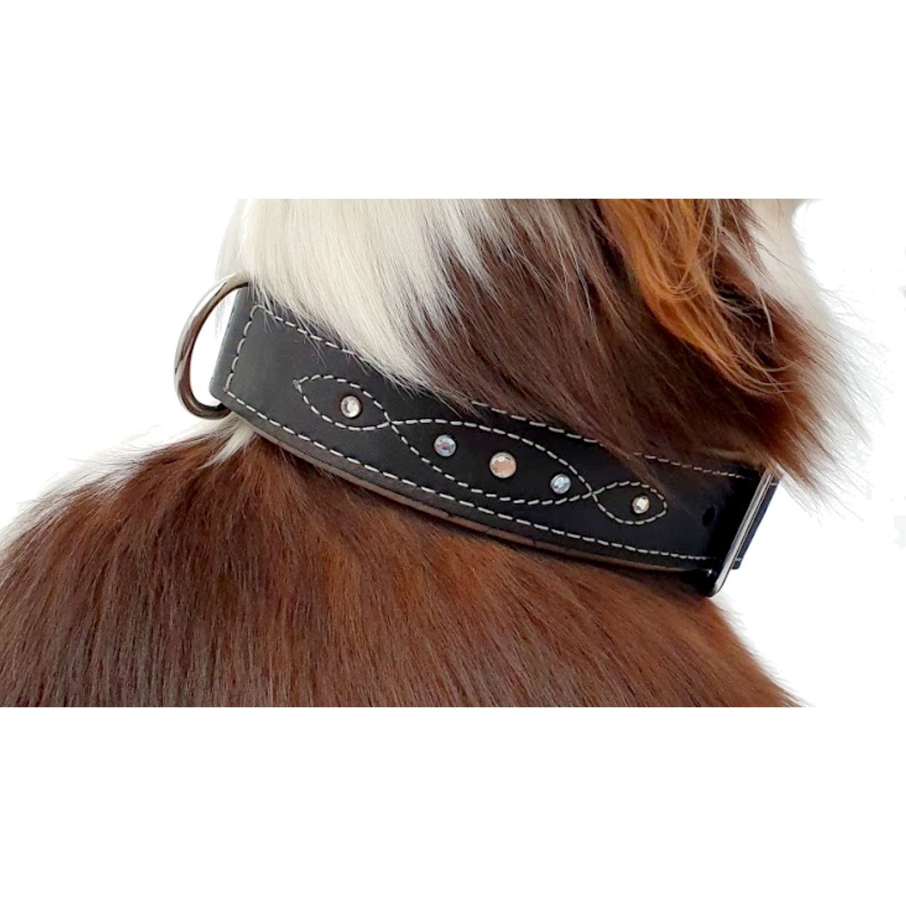 Sternfalbe Lederhalsband für Hunde Bild 18