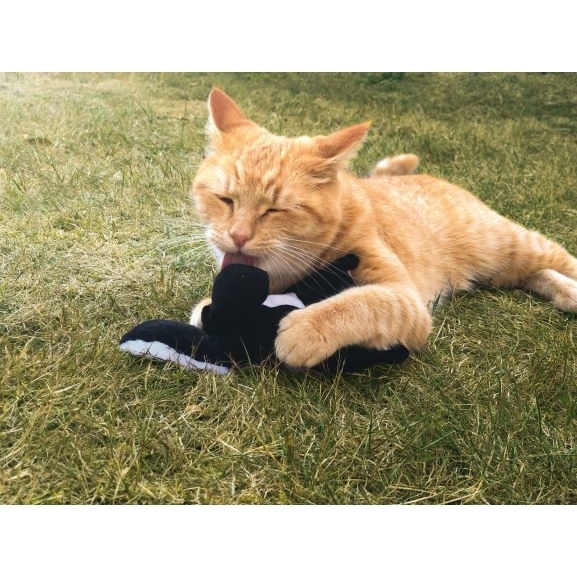 Stinktier Sam Katzenspielkissen mit Baldrian Bild 2