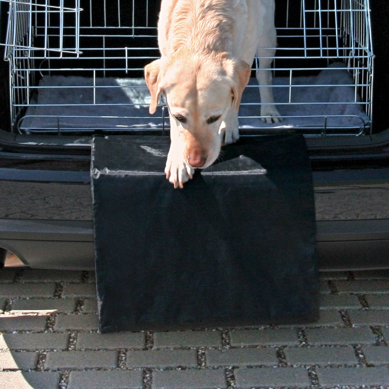 Stoßstangenschutz Stoßstangenschürze für das Auto Bild 2