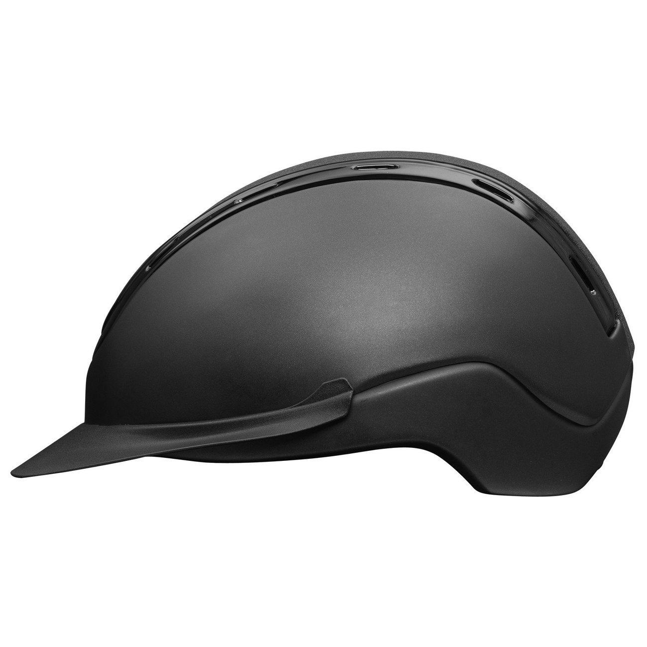 Reithelm Shine Bild 6