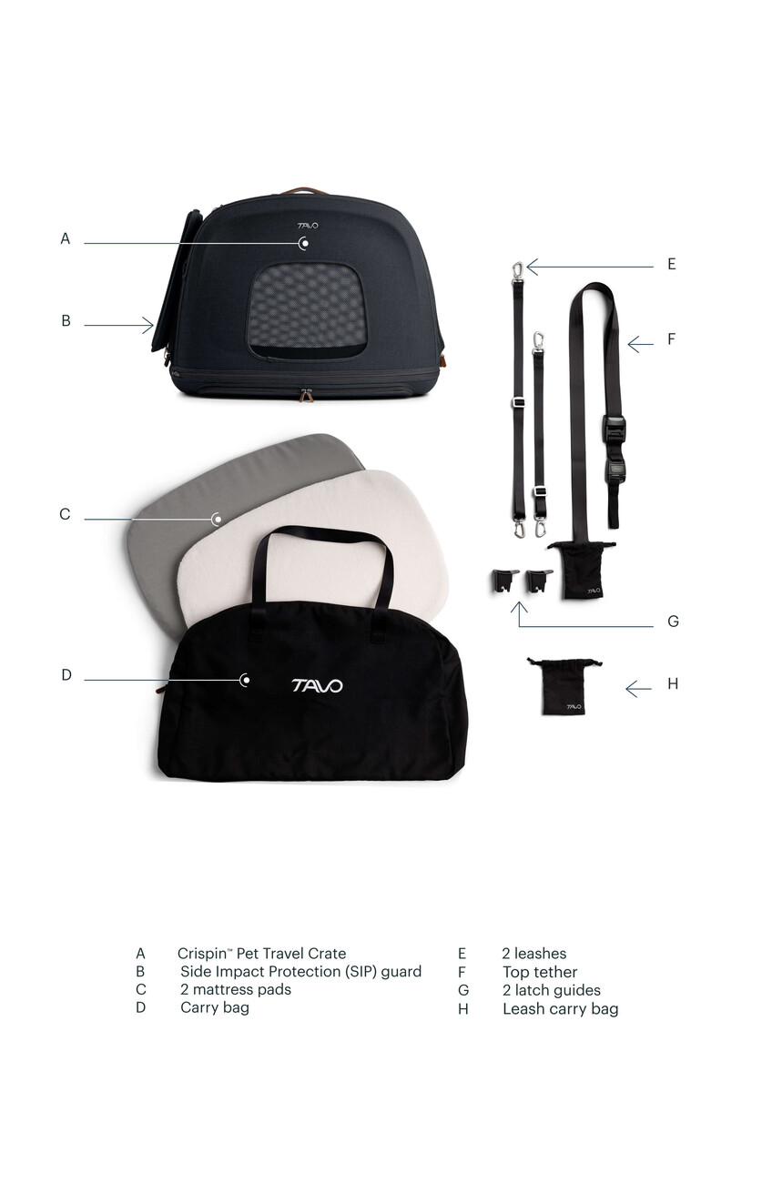 Crispin: Crashgetestete Transportbox für Hunde & Katzen 🐶🐱 Bild 38