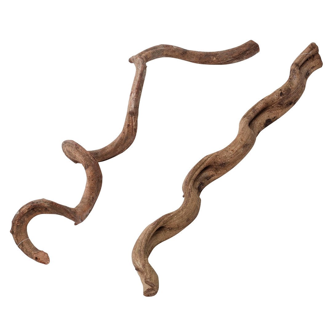 Deko Holz Liane für Reptilien Bild 1