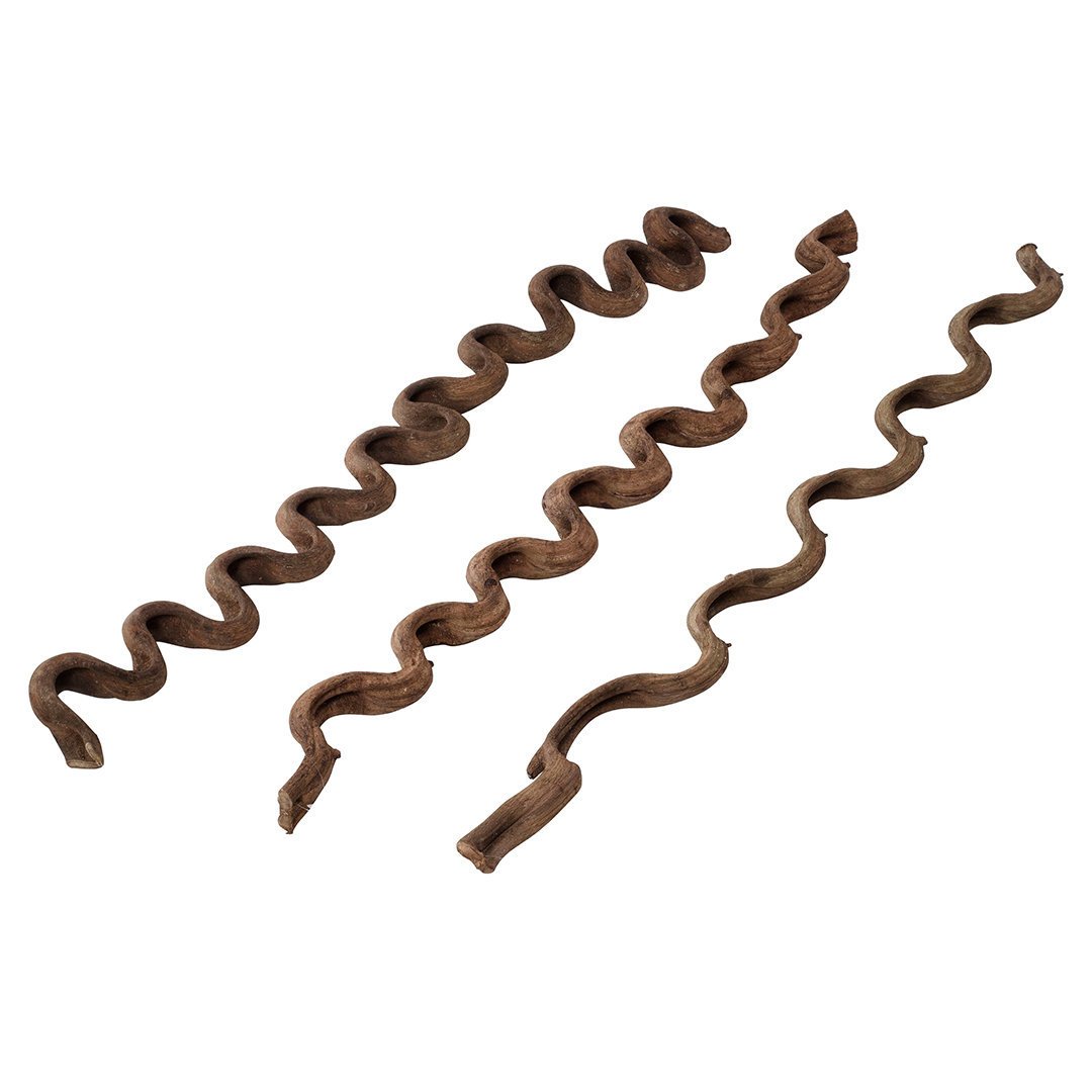 Deko Holz Liane für Reptilien Bild 2