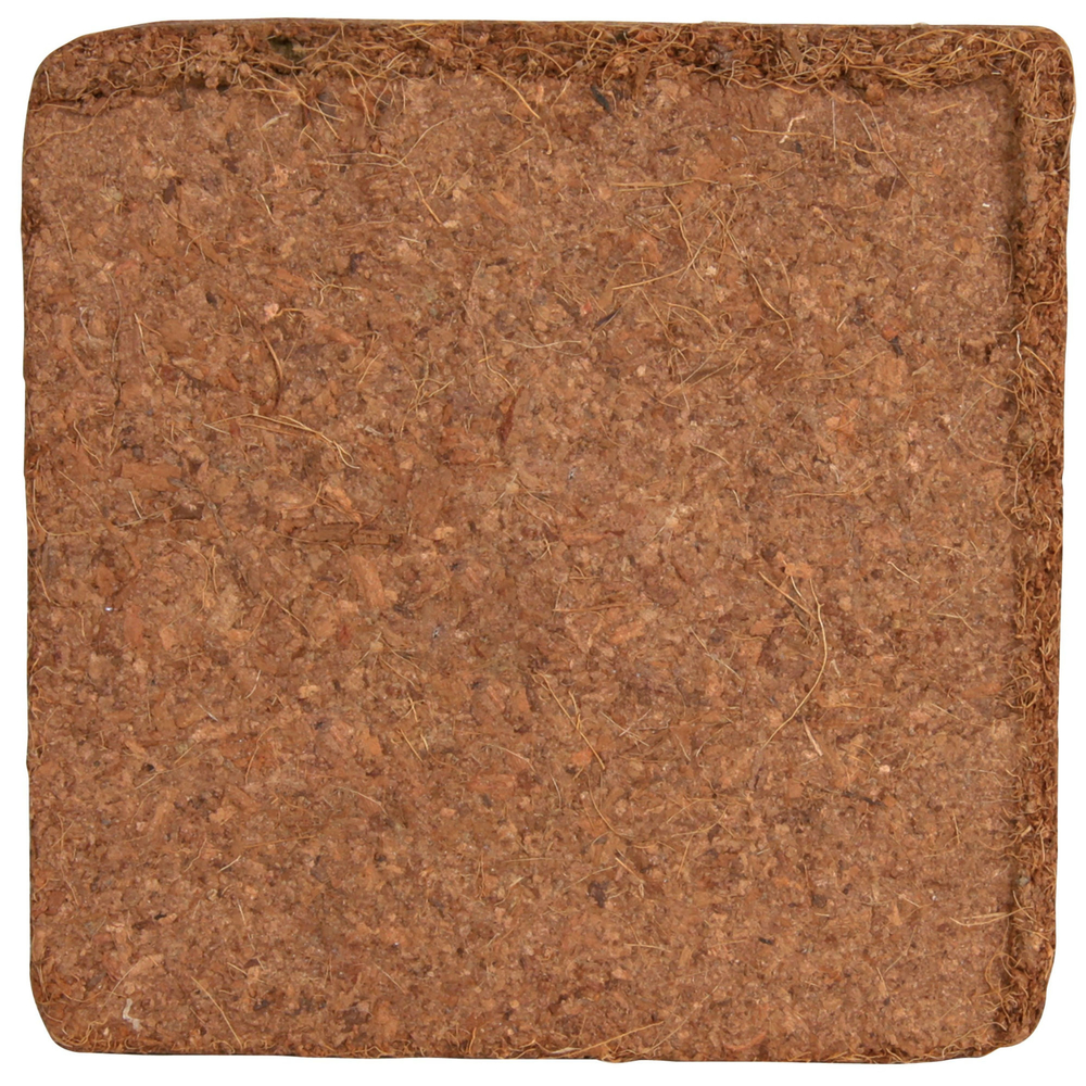 Terrarium Erde Kokosfaserhumus Bild 3