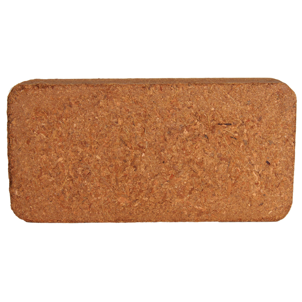 Terrarium Erde Kokosfaserhumus Bild 6