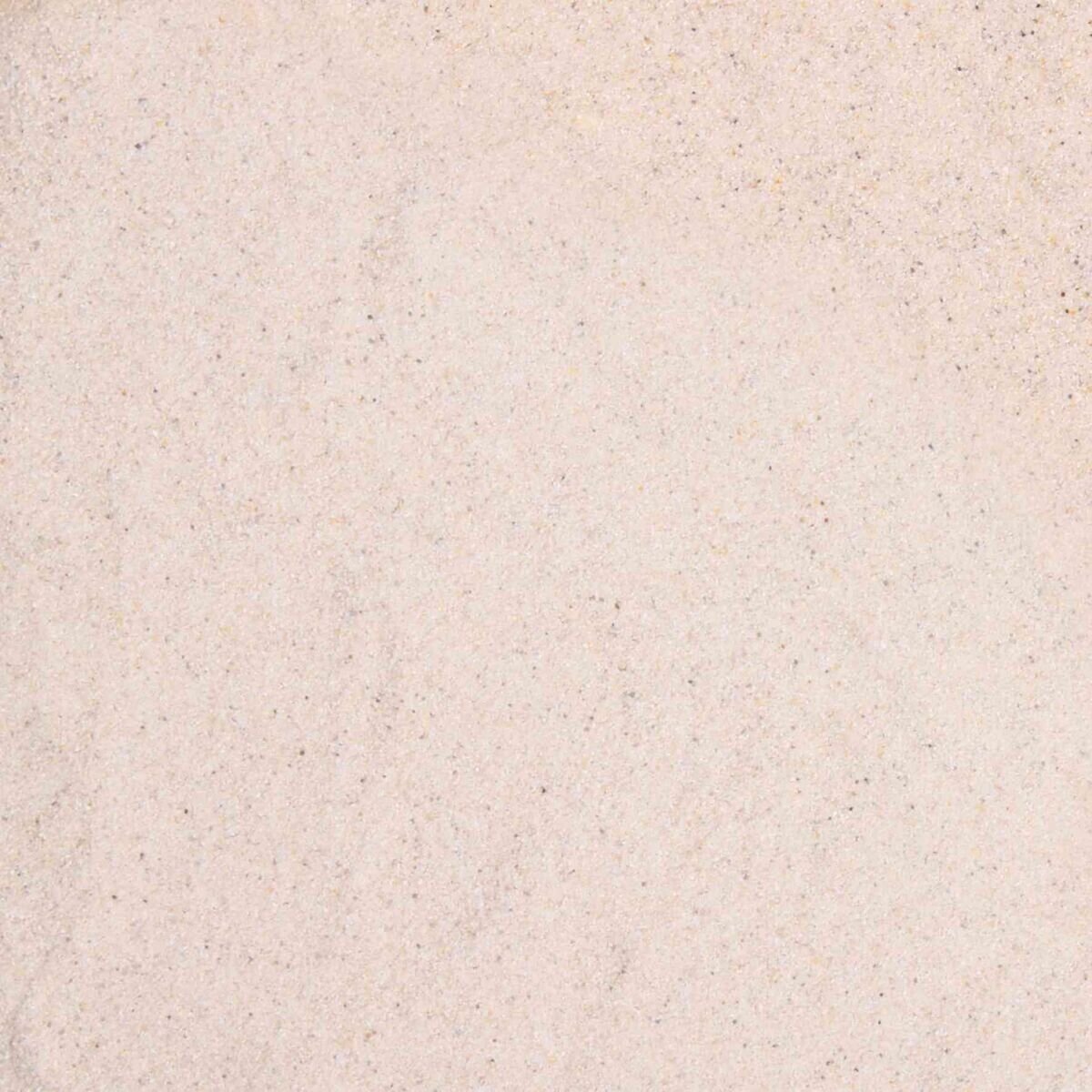 Terrarium Wüsten Sand weiß Bild 2