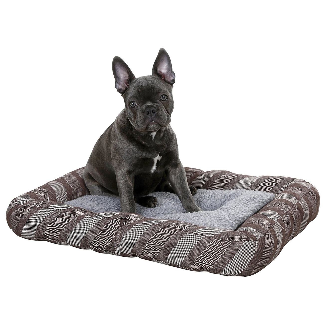 Thermo Hundebett Pablo selbstwärmend Bild 4