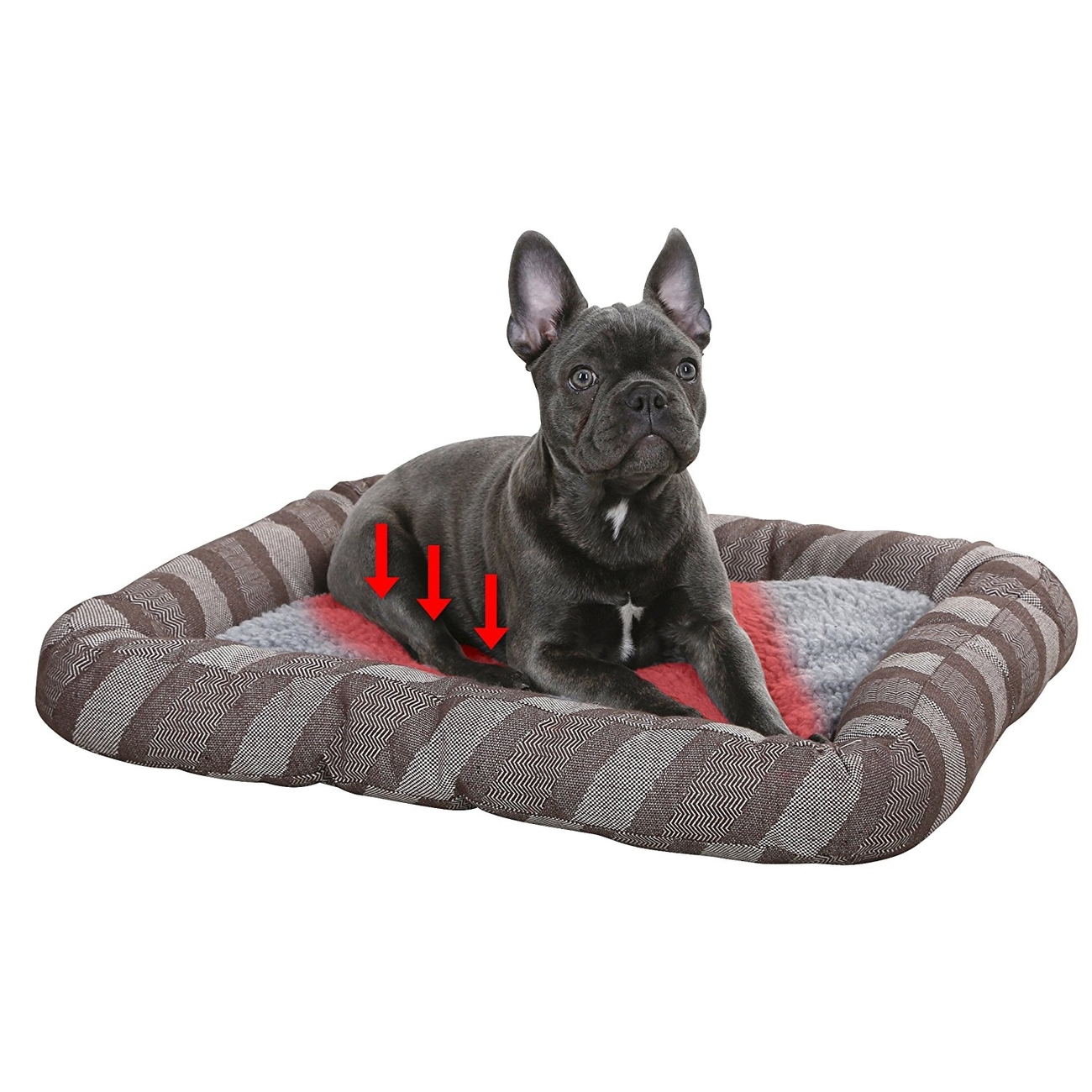 Thermo Hundebett Pablo selbstwärmend Bild 3