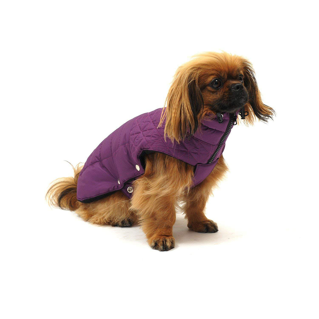 Thermo Steppjacke Boston für Hunde Bild 3