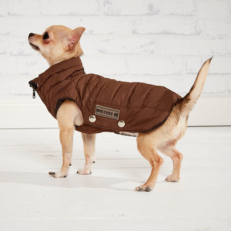 Thermo Steppjacke Boston für Hunde Bild 2