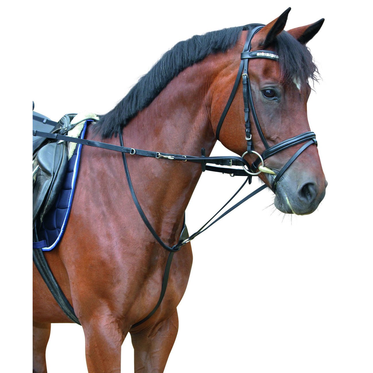 Covalliero Thiedemannzügel Bild 2