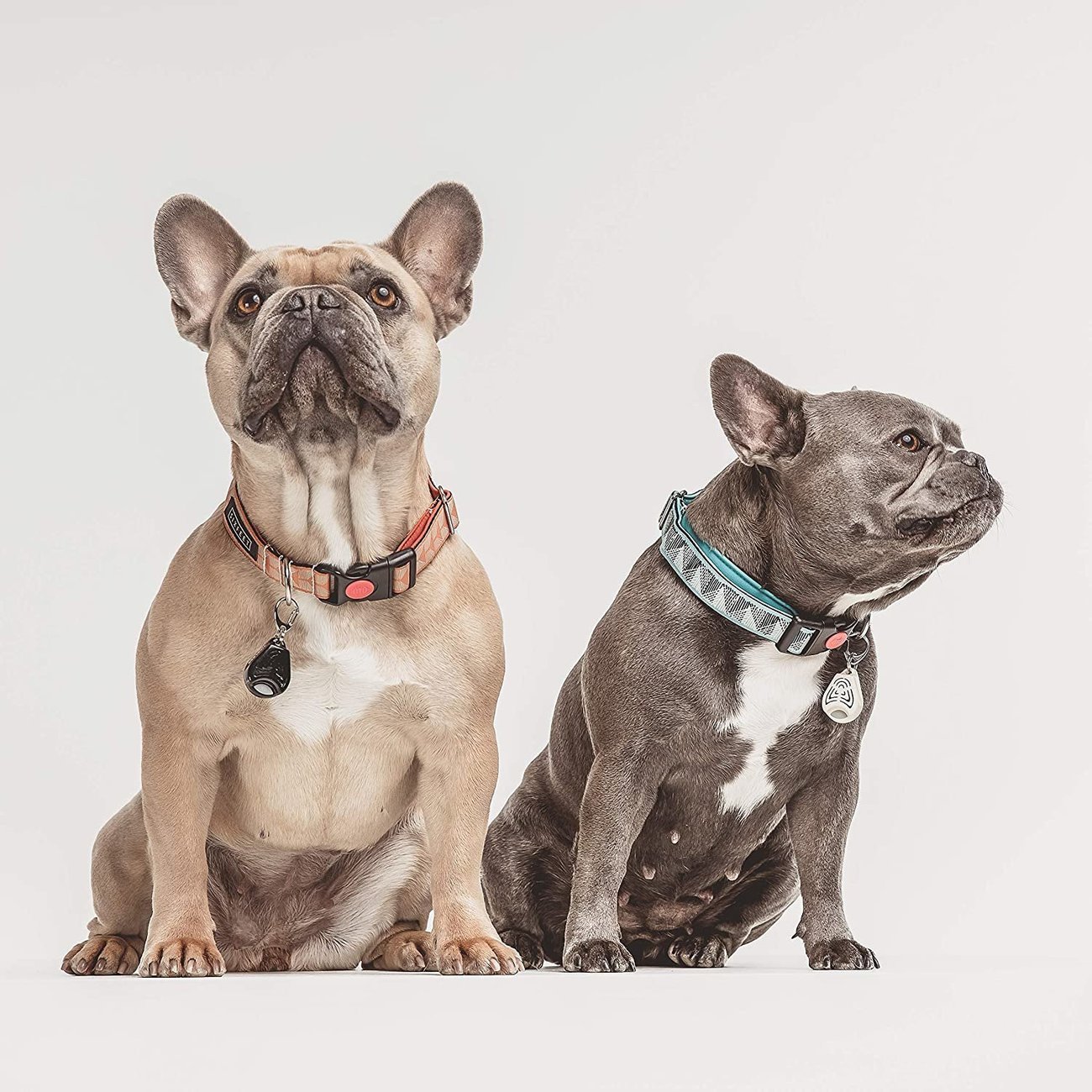 TickLess Pet Zecken und Flohschutz Bild 11