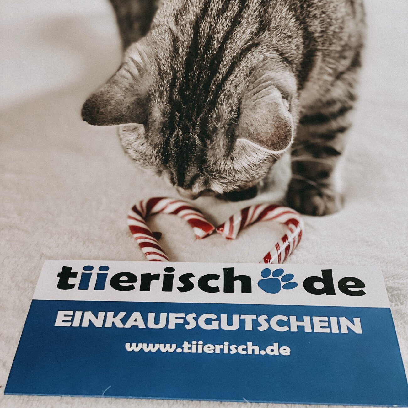 tiierisch.de Einkaufs Gutschein zum Verschenken Bild 2