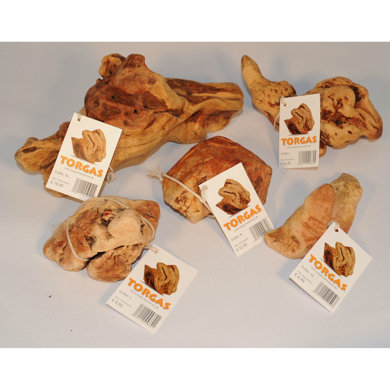 Torgas Kauwurzel Bild 2