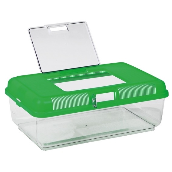 Transportbox Fütterungsbox für Terrarium Bild 4