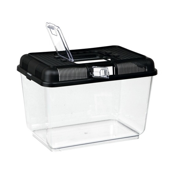 Transportbox Fütterungsbox für Terrarium Bild 2