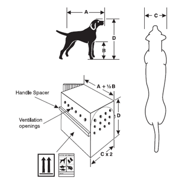 Transport und Flugbox Gulliver für Haustiere Bild 8