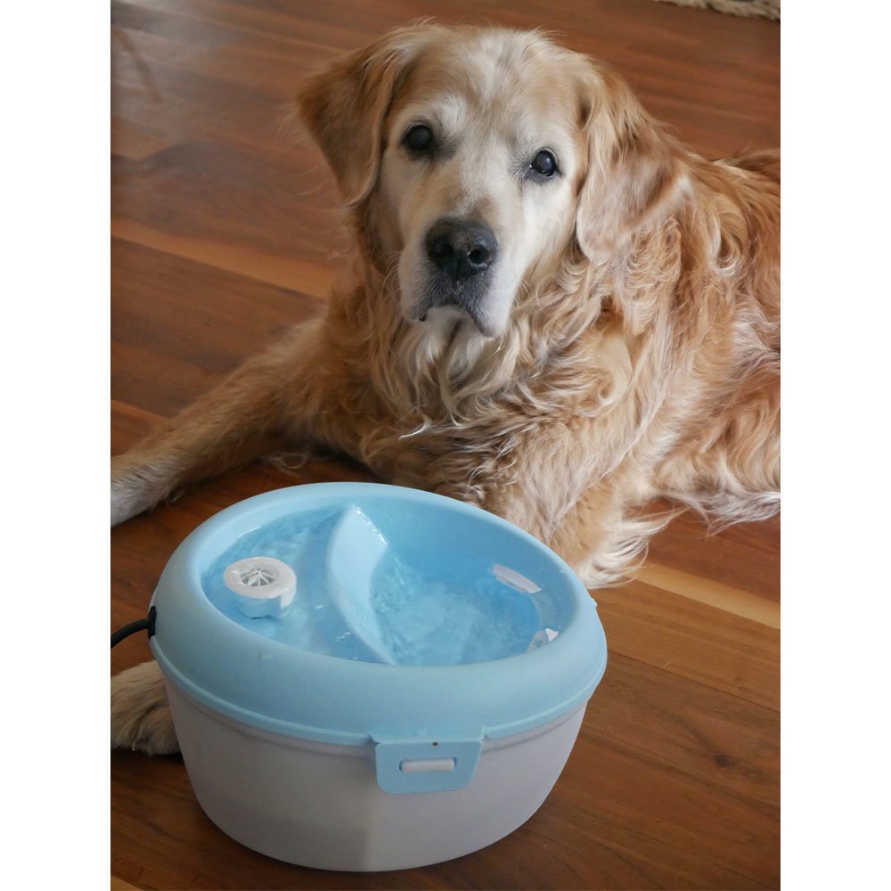 Trinkbrunnen für Hunde und Katzen Bild 3