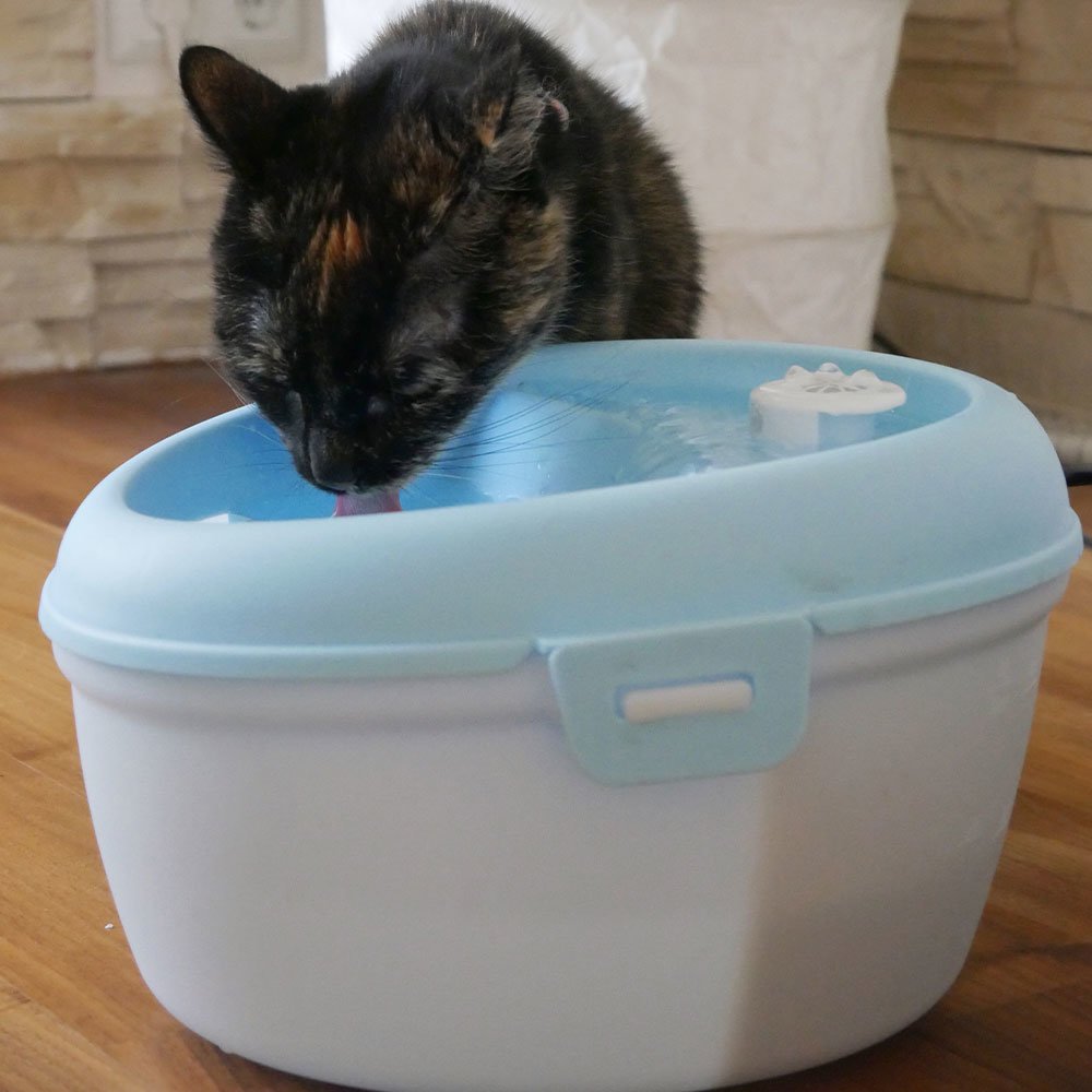 Trinkbrunnen für Hunde und Katzen Bild 4