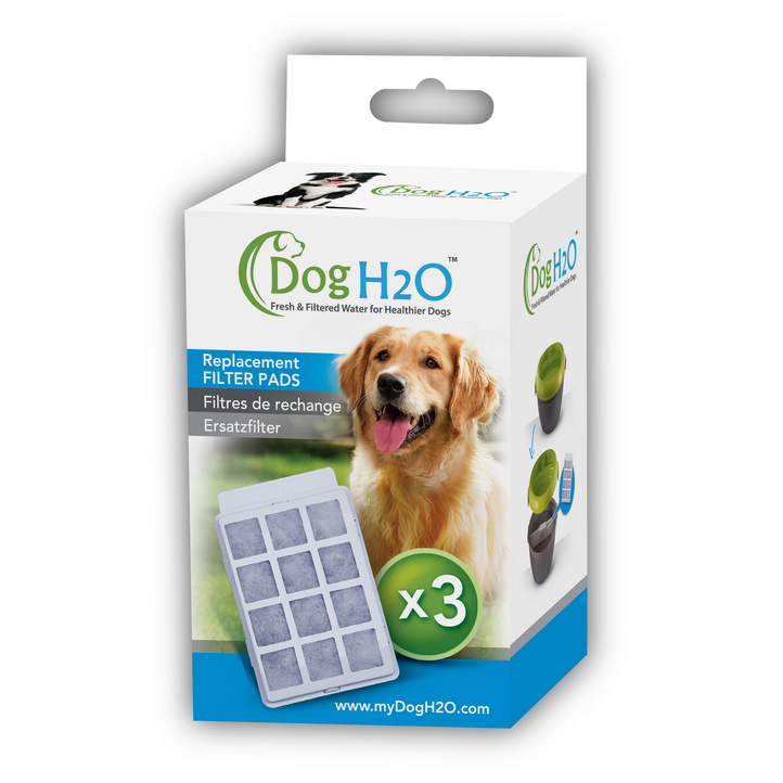 Trinkbrunnen für Hunde und Katzen Bild 8