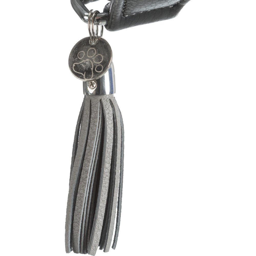 Active Comfort Windhundehalsband Bild 3