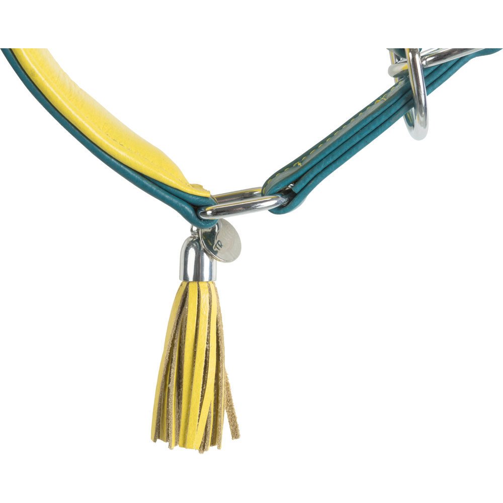 Active Comfort Windhundehalsband Bild 7