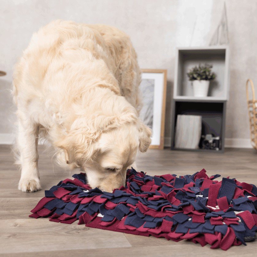 Dog Activity Schnüffelteppich Hundestrategiespiel Bild 3