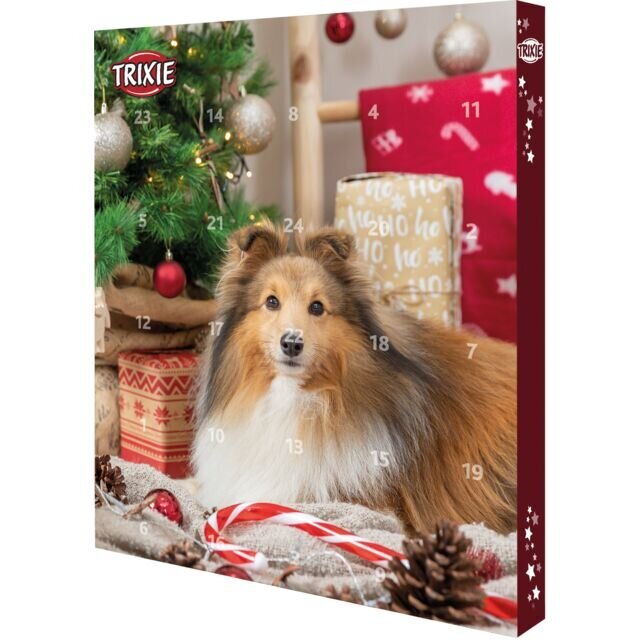 Adventskalender für Hunde Bild 1