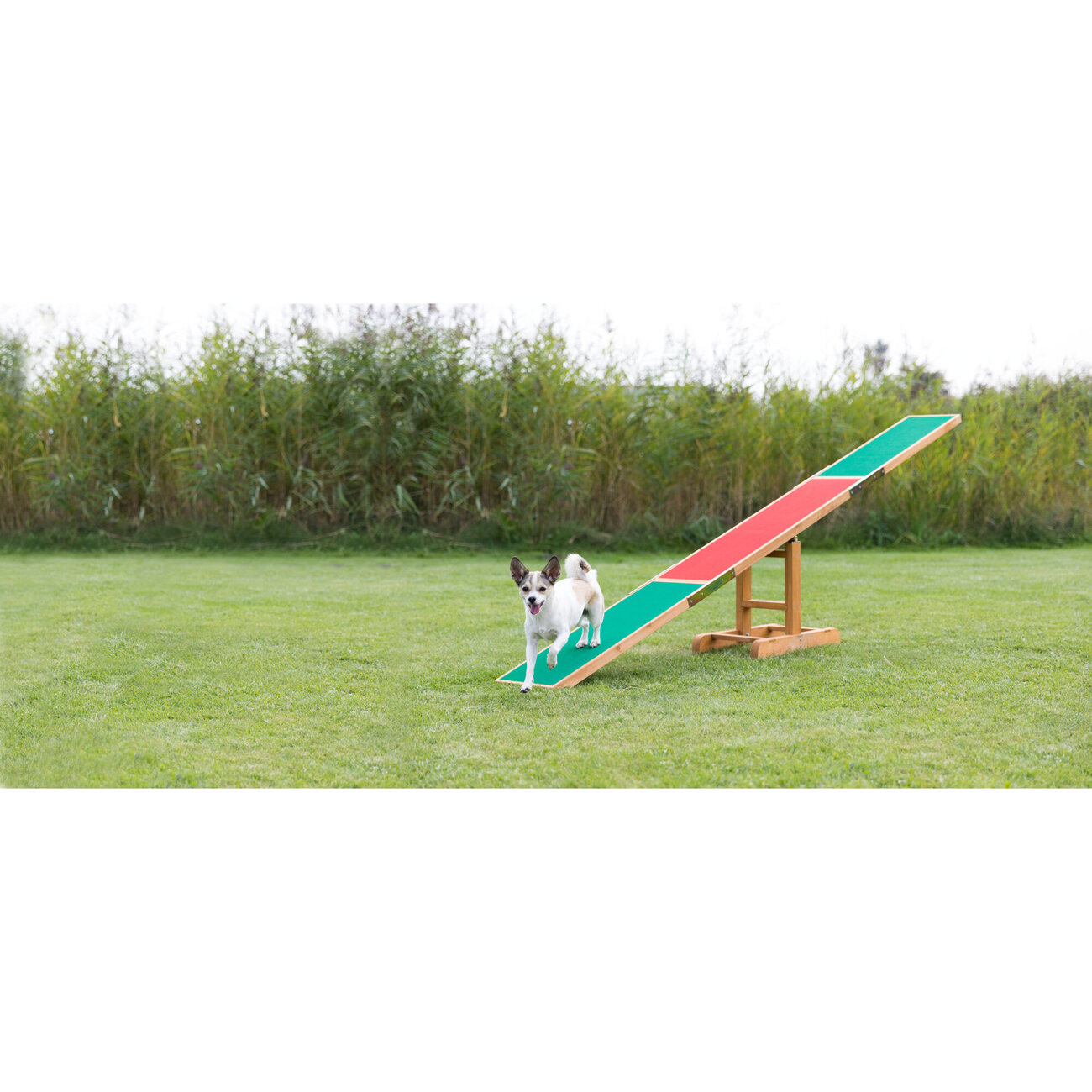 Trixie Agility Hunde Wippe Bild 6