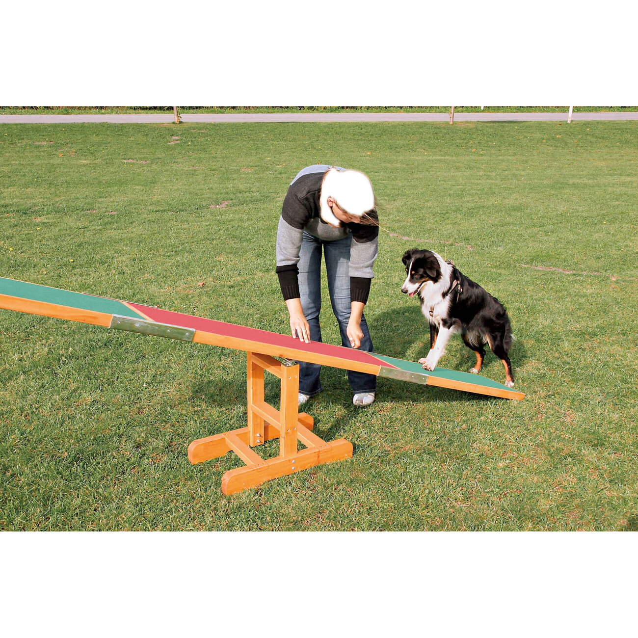 Trixie Agility Hunde Wippe Bild 7