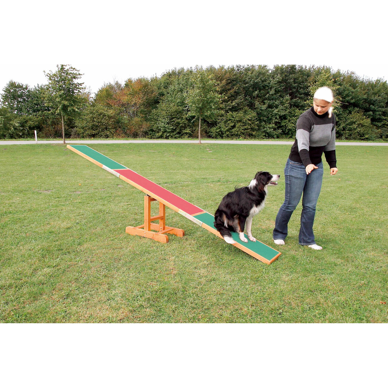 Trixie Agility Hunde Wippe Bild 3