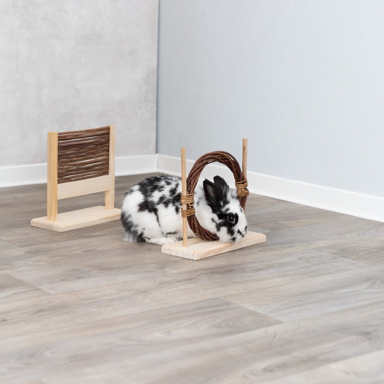 Agility Set mit Hürde und Ring für Kleintiere Bild 2