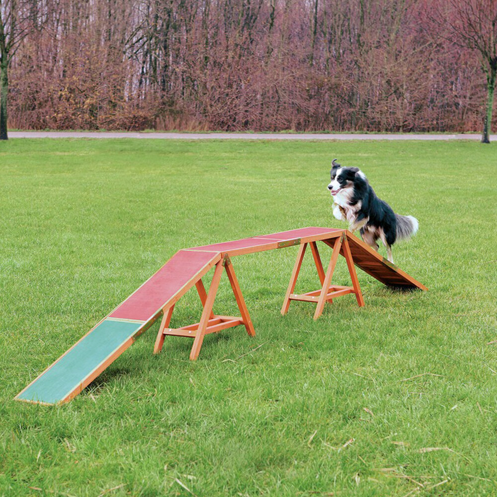 Agility Steg Bild 2