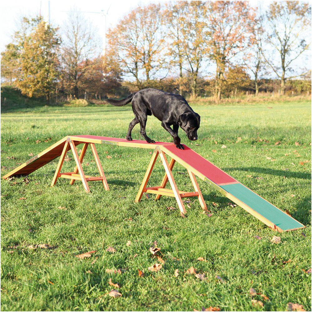 Agility Steg Bild 3