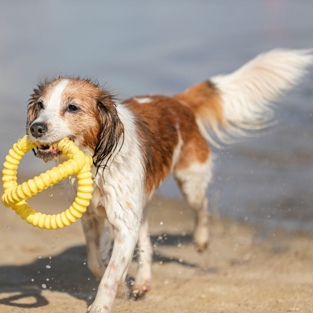 Aqua Toy Greifer Bild 2